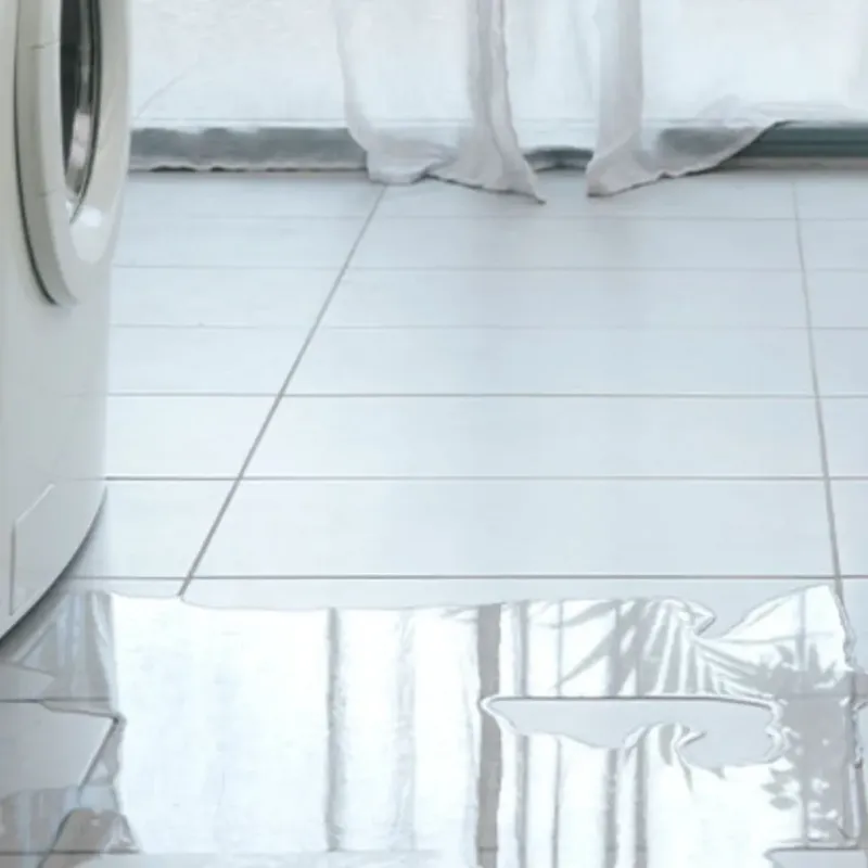 Appliance Leak Cleanup in Feather Sound, FL