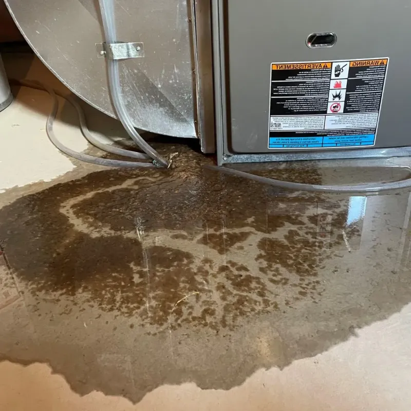 Pipe Burst and Leak Restoration in Feather Sound, FL